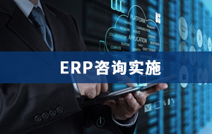 ERP咨询实施