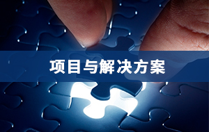 项目与解决方案